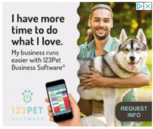 Ad Example 1