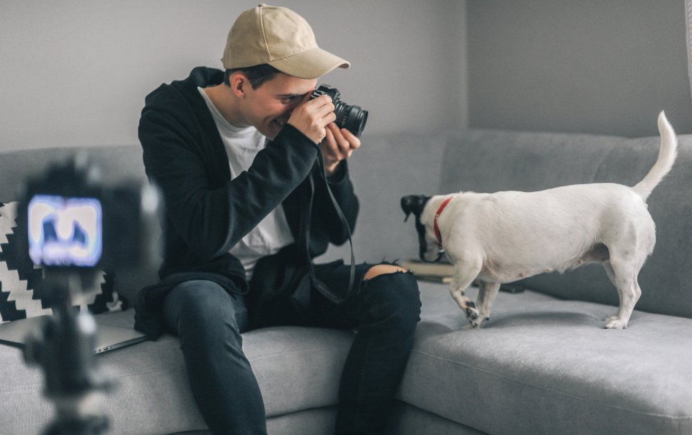pet photography
